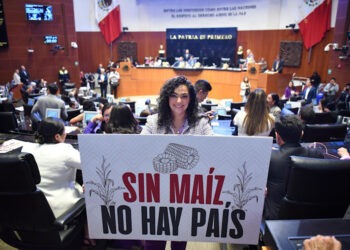 El maíz será protegido por la Constitución: Olga Sosa