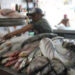 Va COEPRIS por mariscos en mal estado
