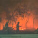 Incendios en la región cañera fueron provocados