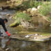 Continua incidencia de basura en ríos y drenes: CONAGUA