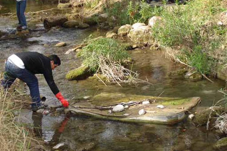 Continua incidencia de basura en ríos y drenes: CONAGUA
