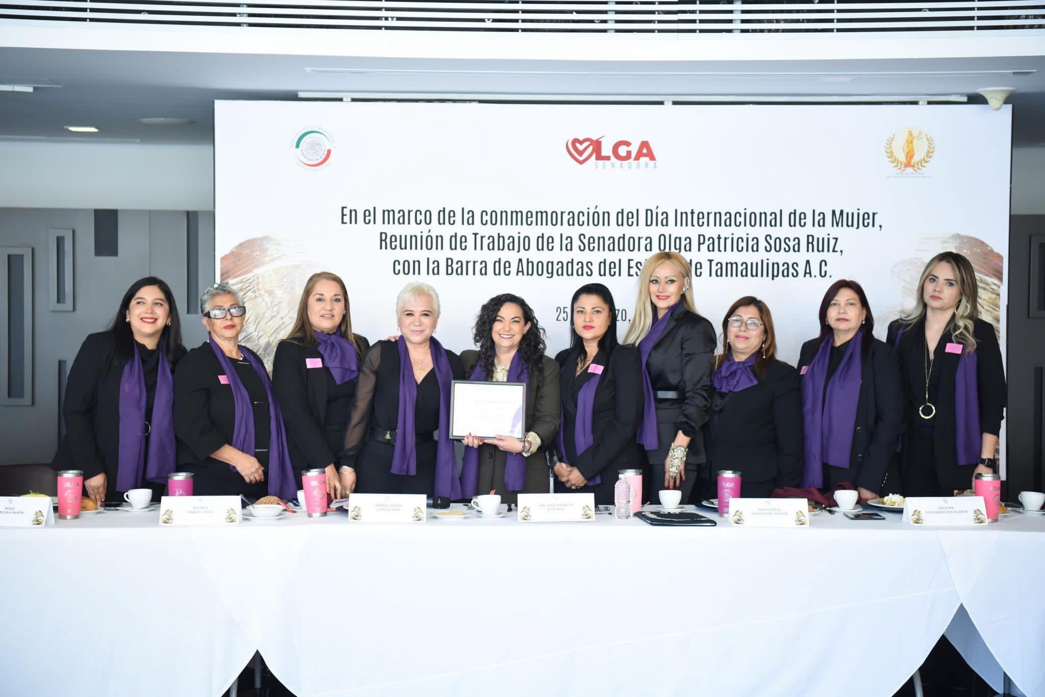 Renovación del poder judicial será paritario: Olga Sosa