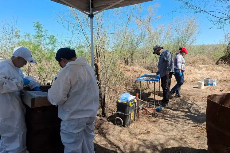 Desconocido el número de campos de exterminio en Tamaulipas
