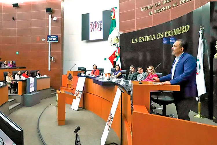 Elección judicial: Transmitirán en vivo 300 conteos de votos