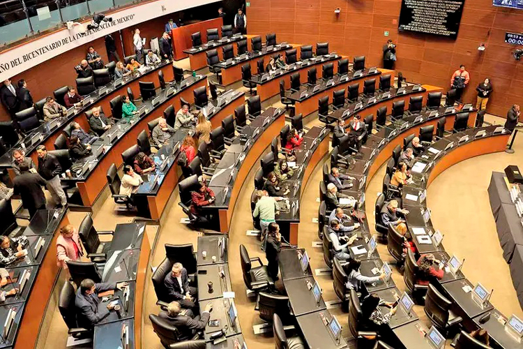 Desde 2006 había campos de exterminio