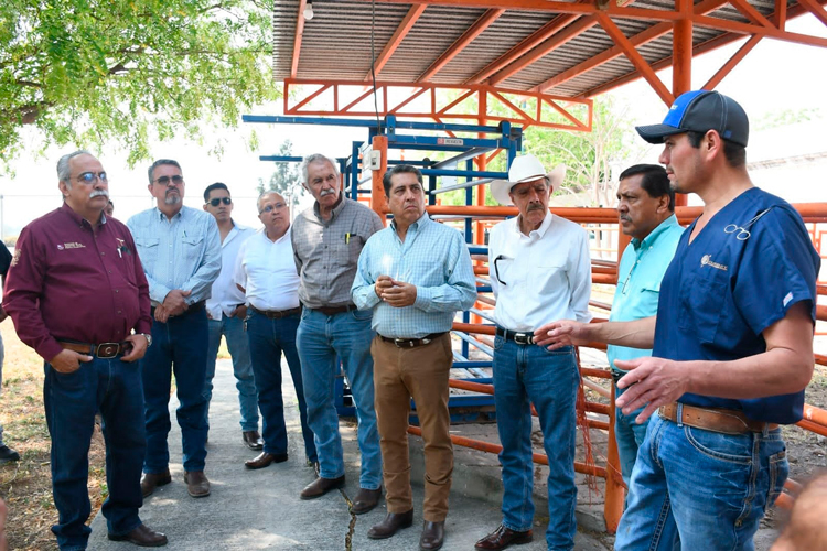 Expone UAT investigación sobre tortugas marinas en foro internacional
