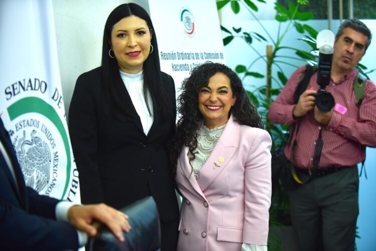 Banxico ha contribuido a la estabilidad económica del país: Olga Sosa
