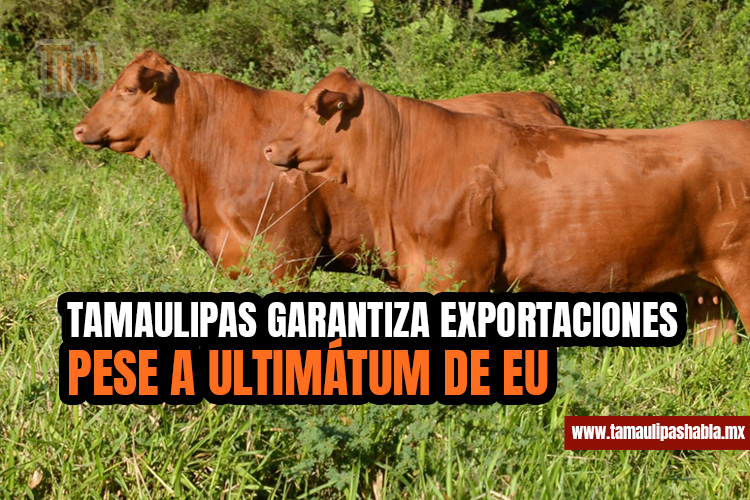 Tamaulipas garantiza exportaciones pese a ultimátum de EU