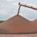 Inician lentamente las trillas de sorgo en el Valle de San Fernando