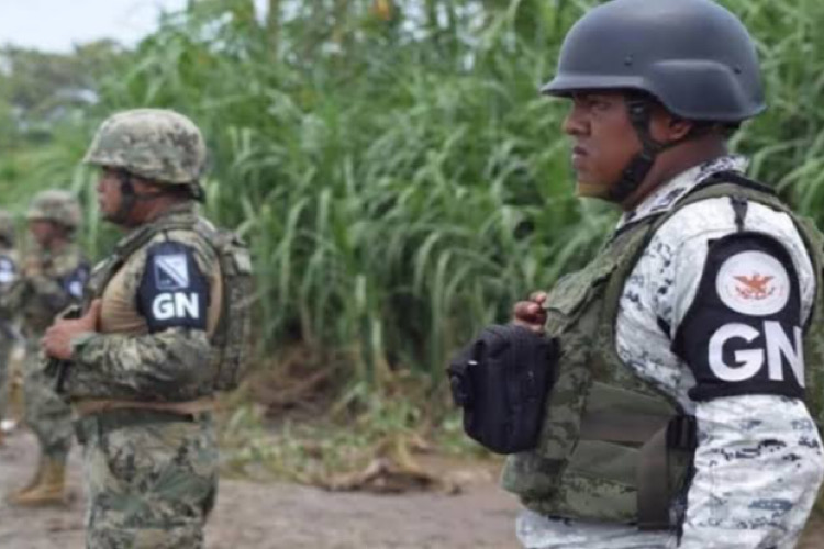 Frenan extorsiones a sorgueros de Tamaulipas