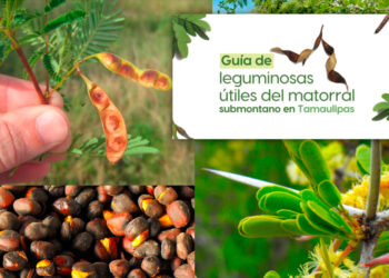 La UAT invita a conocer más sobre las leguminosas y su aprovechamiento