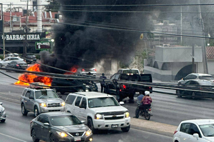Por atacar delitos, asesinato del delegado de la FGR: AVA