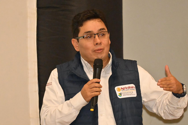 Liberan 80 millones de moscas estériles contra el barrenador en Tamaulipas