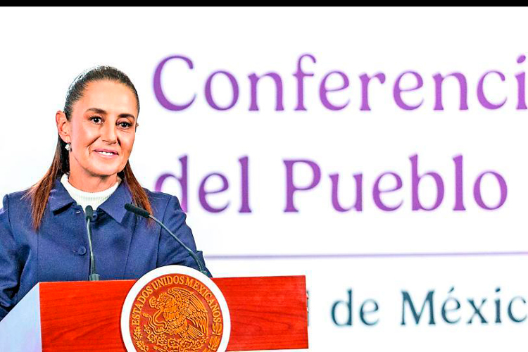 Los plurinominales se elegirían a voto directo