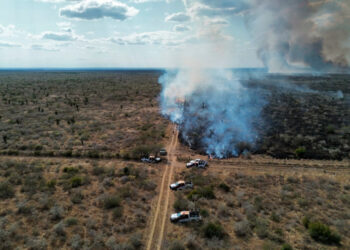 Guardia Estatal activa Plan Tamaulipas por incendio de pastizal en Jiménez