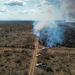 Guardia Estatal activa Plan Tamaulipas por incendio de pastizal en Jiménez