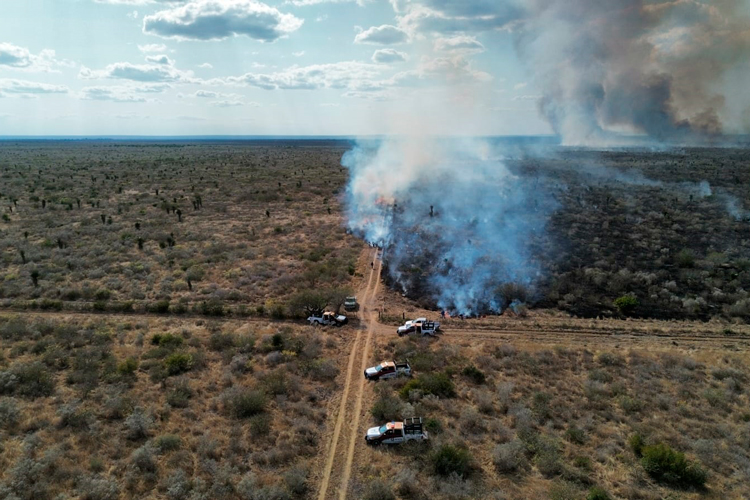 Guardia Estatal activa Plan Tamaulipas por incendio de pastizal en Jiménez