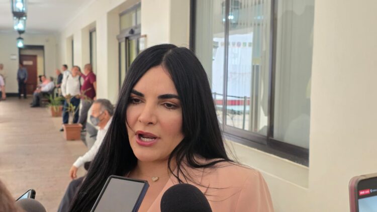 Prioriza Díaz Ordaz seguridad
