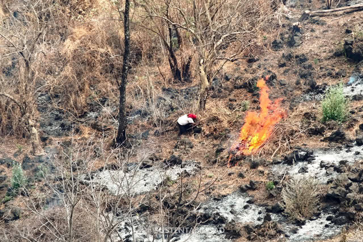 Detectan 2 piromaníacos en Victoria