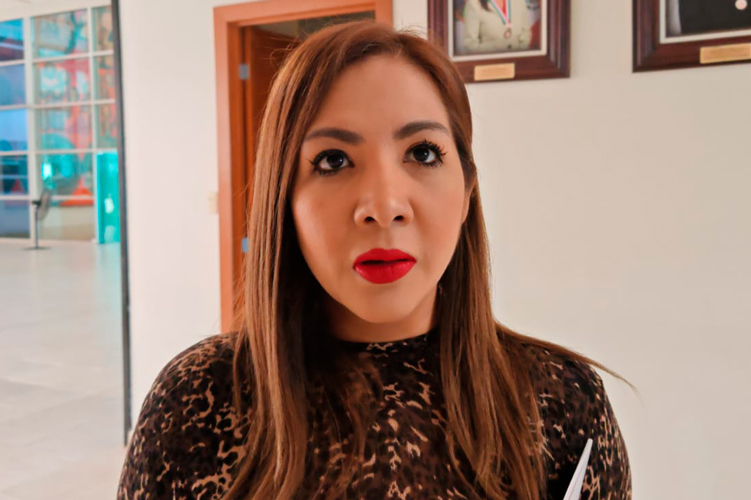Admite Trieltam que adelantados pueden hacer campaña sin sanción