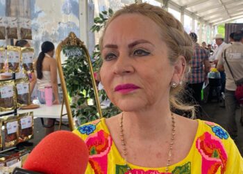 Más de 49 mil estudiantes reciben lentes en Tamaulipas