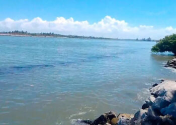 Reportan derrame de hidrocarburos en el Panuco