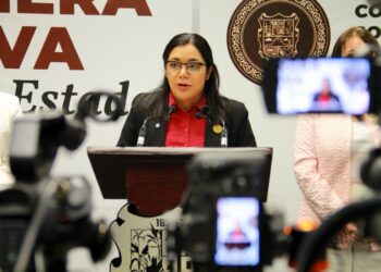Diputada de Morena asegura que ya se atiende crisis eléctrica en San Fernando