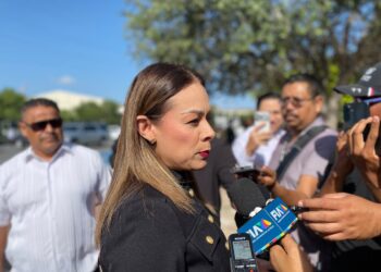 Venta de autos por decreto no permite cambio de propietario