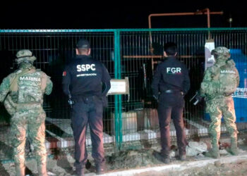 Aseguran 68 mil litros de diésel y animales exóticos en Altamira