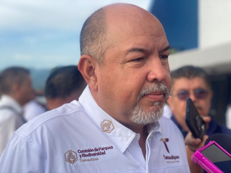 Morena prepara definición de candidaturas municipales