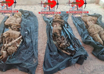 Aseguran 68 mil litros de diésel y animales exóticos en Altamira