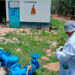 Alcaldes se niegan a soltar las Comapas