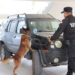 Guardia Estatal acumula 128 quejas