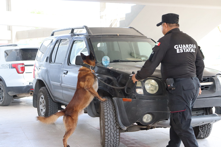 Guardia Estatal acumula 128 quejas