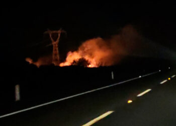 Suben 30% incendios de zacatales en Victoria