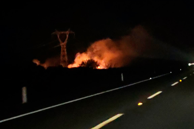 Suben 30% incendios de zacatales en Victoria