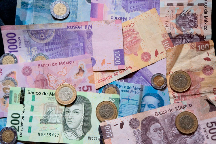 CMIC destaca participación de empresas locales