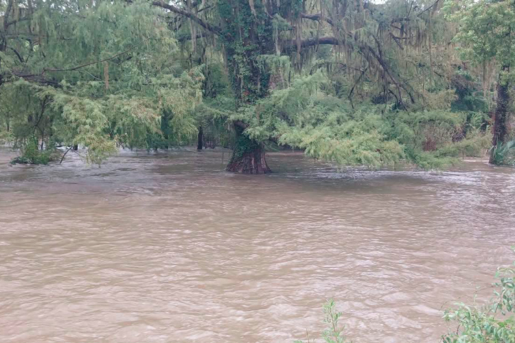 Listo PC Tamaulipas para atención ante lluvias